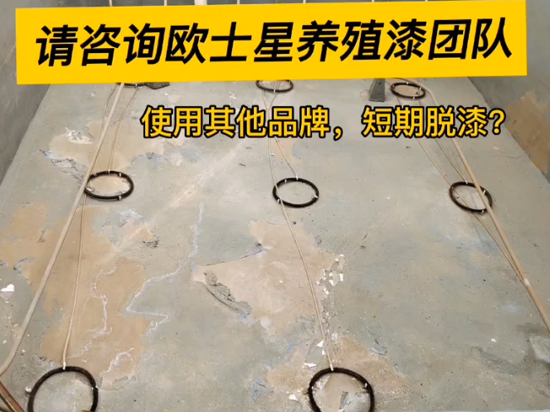 曾經刷養殖漆或者即將要刷養殖漆的朋友們，如果遇到刷完養殖漆短時間脫漆請咨詢歐士星養殖漆團隊，可免費解答您的困惑！