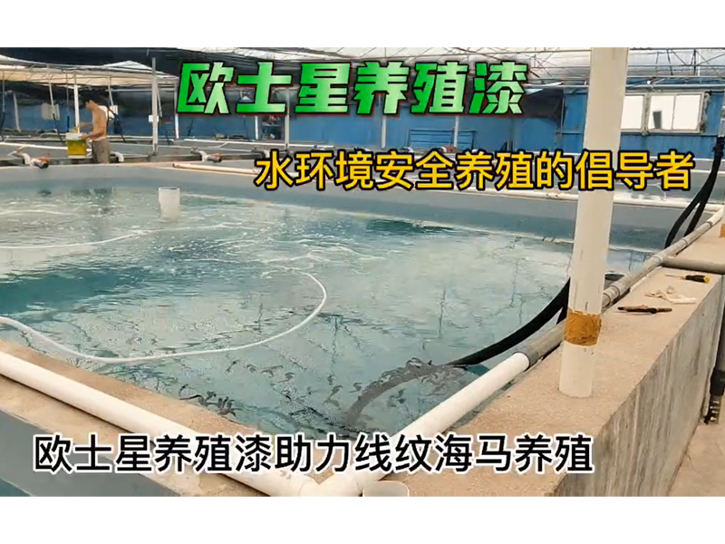 歐士星養殖漆助力線紋海馬養殖，9月19日刷完漆，10月8日回訪，放水養殖，搬馬順利。水質好，海馬狀態佳，攝食順利，刷完漆，環境好，更好養
