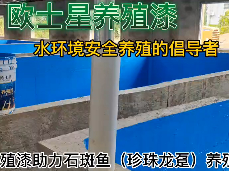 歐士星養殖漆助力石斑魚（珍珠龍躉）養殖，11月27日刷漆，12月1日放水養殖，魚苗活力佳，攝食順利，倡導水環境安全養殖，歐士星養殖漆在行動！