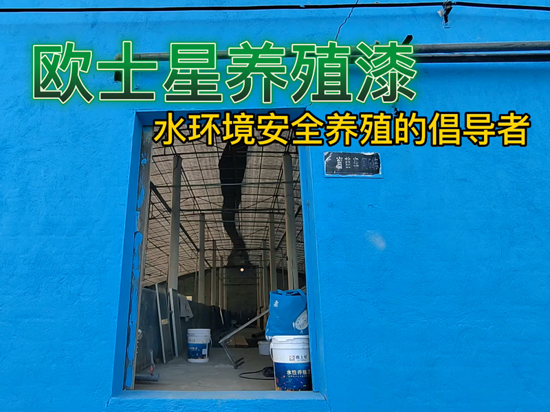 刷完漆干燥后池子進水準備養殖的現場，清爽的環境，漂亮的水質，刷完后新場的狀態，美美噠