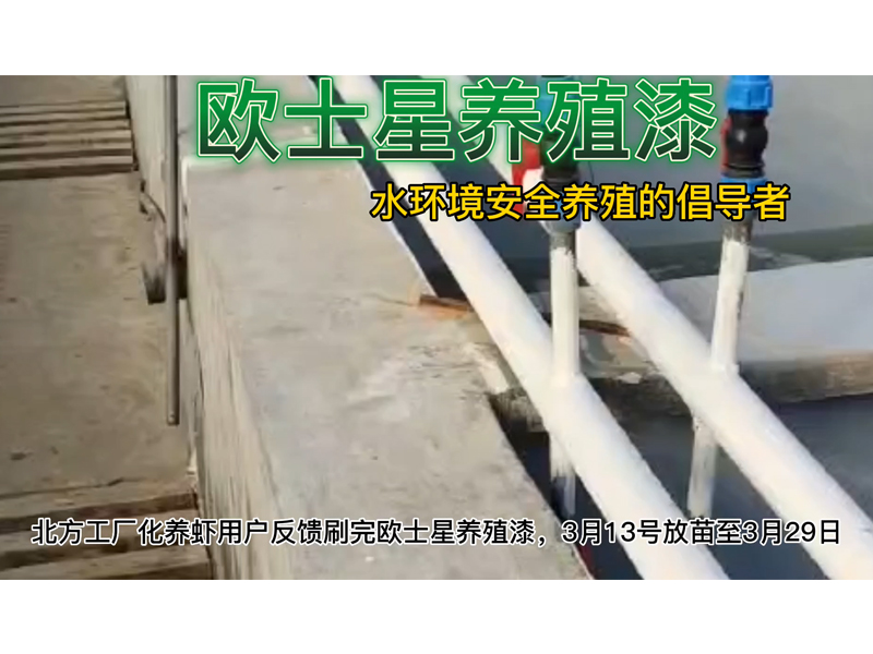 北方工廠化養(yǎng)蝦用戶反饋刷完歐士星養(yǎng)殖漆，3月13號(hào)放苗至3月29日，蝦苗長(zhǎng)勢(shì)挺好，成活率高。歐士星養(yǎng)殖漆改善環(huán)境，讓養(yǎng)蝦更順利！